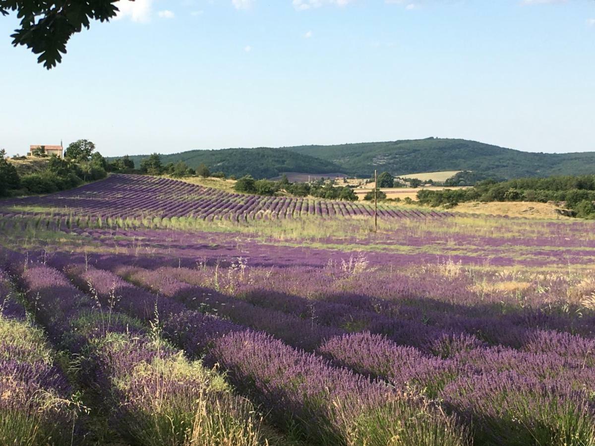 Villa Luberon Saint-Saturnin-d'Apt Eksteriør bilde